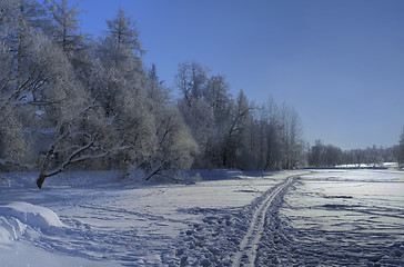 Image showing Winter bright landscape