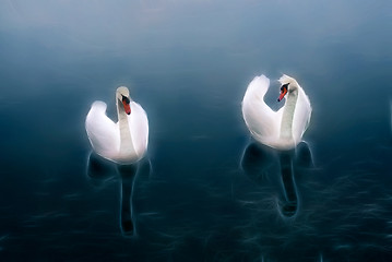 Image showing White swans at fraclal water