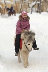 Image showing Little girl on a white pony