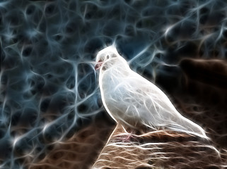 Image showing Electrical light dove.