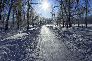 Image showing Snow path and Sun