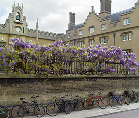 Image showing Cambridge bicycles