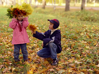 Image showing Autumn flowers bouquet