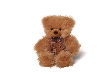 Image showing Soft teddy bear