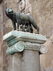 Image showing Famous statue of the she-wolf in Rome