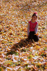 Image showing Girl at bright autumn