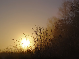 Image showing Could winter morning