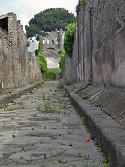 Image showing Red flower at Pompeii's road