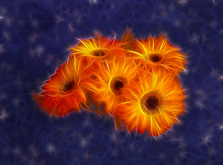 Image showing calendula Fractal flower buquet