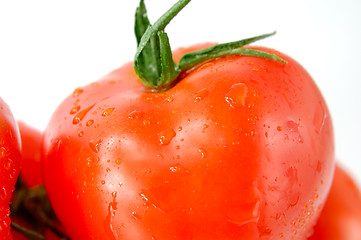 Image showing Tomato 1