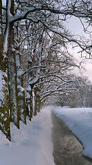 Image showing Winter park stream in snow