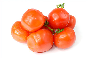 Image showing Tomato 2