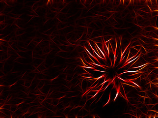 Image showing abstract bright  flower at dark background