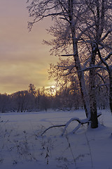 Image showing Beautiful sunset in winter park