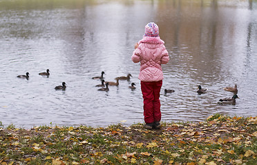 Image showing girl feeding ducks at a lake
