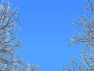 Image showing Winter  framework isolated on blue background