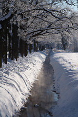 Image showing Winter park stream in snow