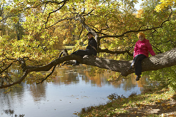 Image showing Sister and brother sitting on the tree