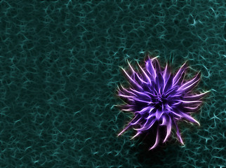 Image showing abstract violet flower at blue background