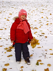 Image showing Little girl with autumn leaves at winter