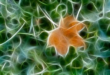 Image showing Abstrack fractal autumn maple leaf on green