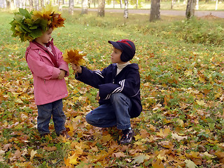 Image showing Autumn flowers bouquet