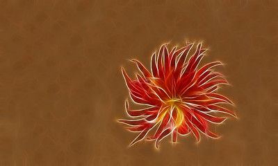 Image showing Fractal red dahlia flower