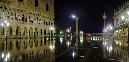 Image showing Water ecology in Venice