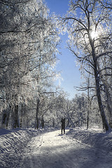 Image showing Photographer in  a frozen park.