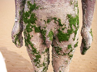 Image showing life-size statue on the beach