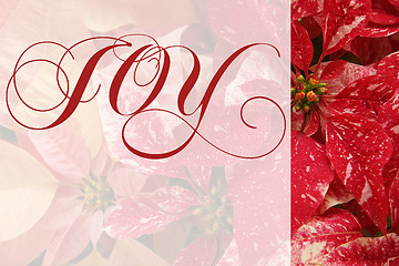 Image showing Christmas poinsettias with joy word