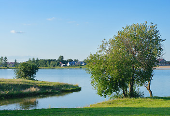 Image showing The shore of the lake in spring