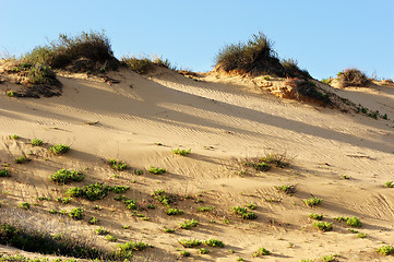 Image showing The sand