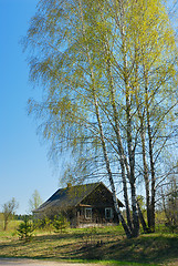 Image showing April in the village