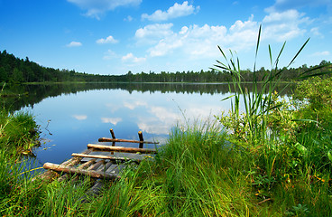 Image showing Lake in the forest