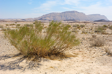 Image showing Makhtesh Ramon, Negev desert