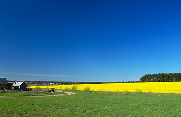 Image showing Spring in the Country