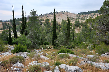 Image showing Landscape Israel