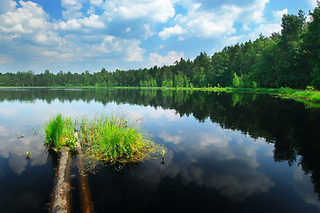 Image showing Lake in the forest