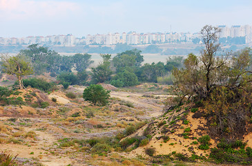 Image showing White houses of Ashkelon
