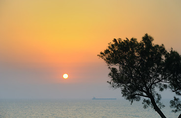 Image showing The sea at sunset