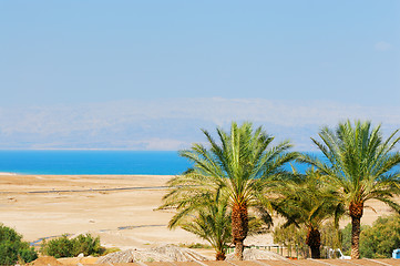 Image showing Dead Sea