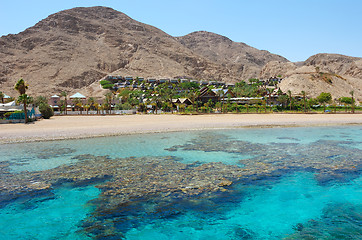 Image showing Coral reef 