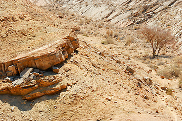 Image showing Stones of Makhtesh Ramon