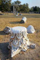 Image showing Pieces of Roman columns in the park of Ashqelon 
