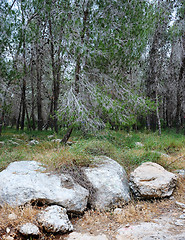 Image showing Landscape Israel