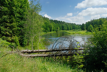 Image showing Summer on the river