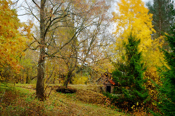 Image showing Watercolors of autumn