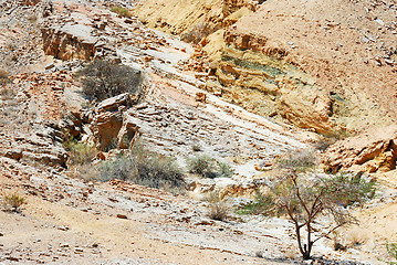 Image showing Multicolored stones of Makhtesh Ramon