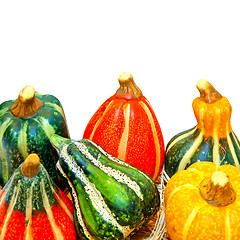 Image showing Gourds